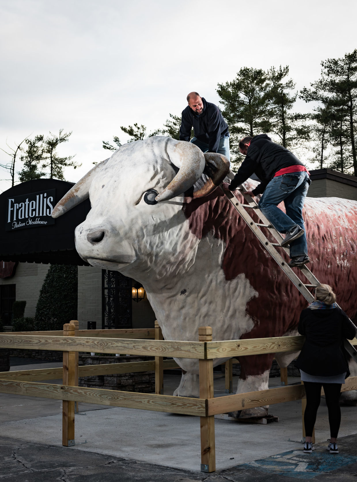 Bull Statue at Fratellis Itatlian Steakhouse